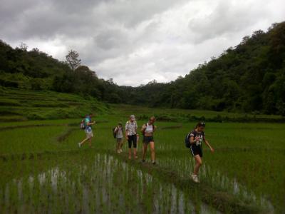 3 days/2 nights Private trekking tour | Chiang Mai Trekking | Das beste Trekking in Chiang Mai mit Piroon Nantaya